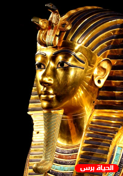 اسعار الذهب اليوم الاحد في مصر